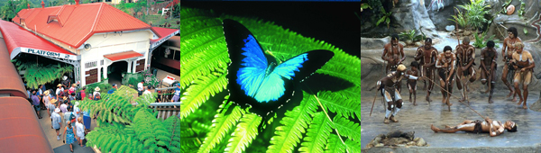 Image 06